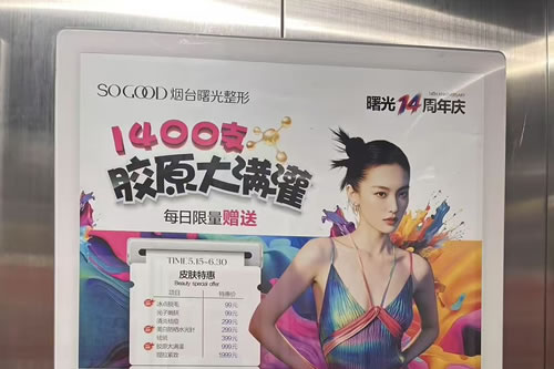 嘉鱼电梯广告
